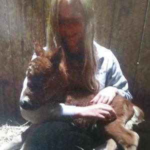 Meet your Posher, Linda